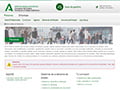 Servicio Andaluz de Empleo